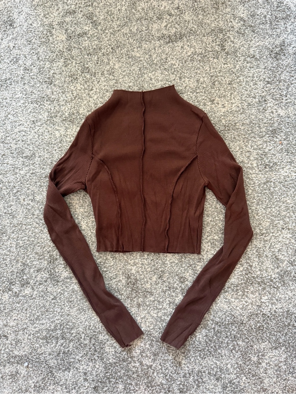 naked wardrobe Brown Ribbed Mock Neck Long Sleeve Crop Top